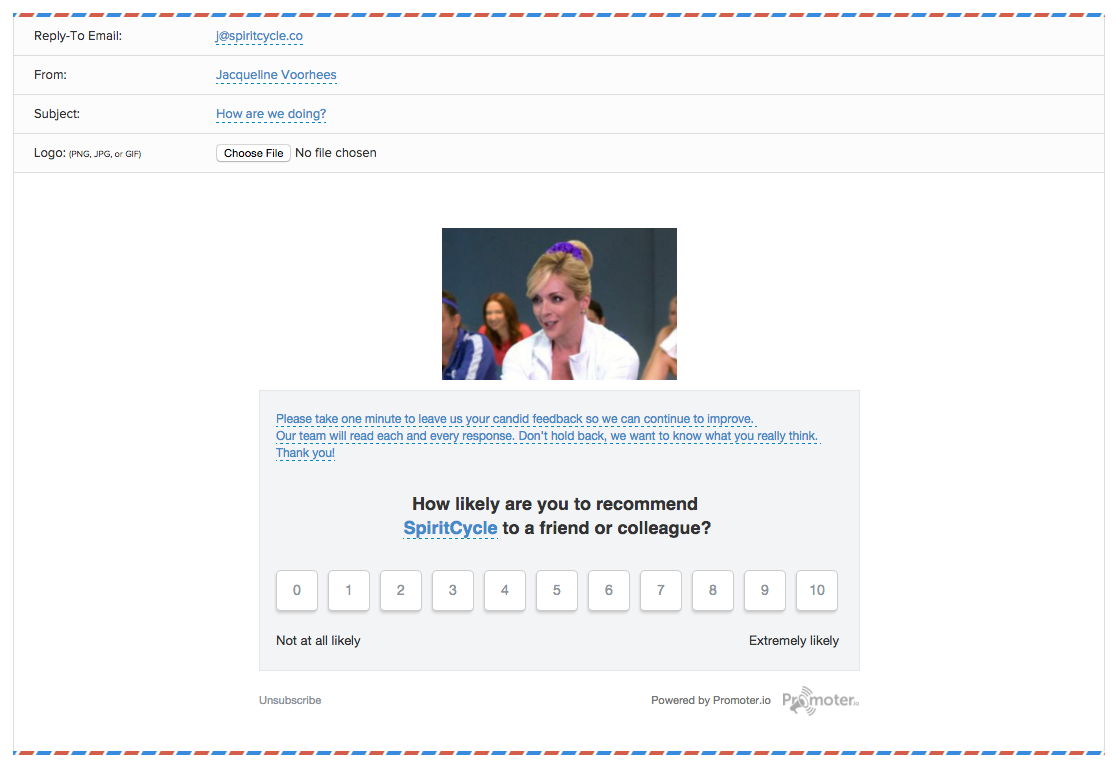 NPS example