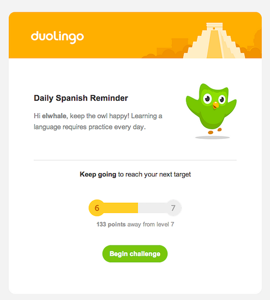 Duolingo reminder email