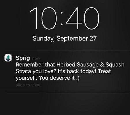 Sprig push notification message